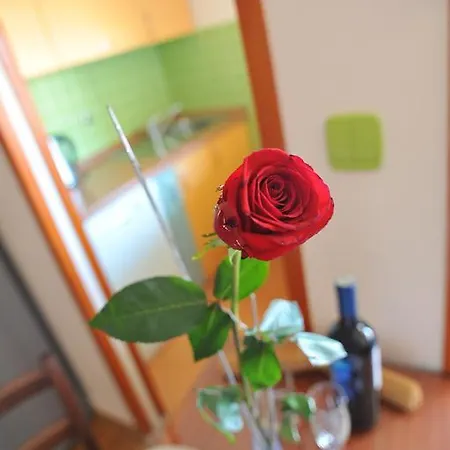 Old Town Ii ザダル